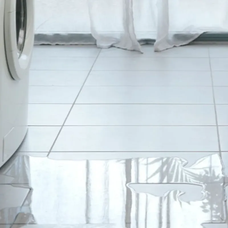 Appliance Leak Cleanup in Laguna, CA