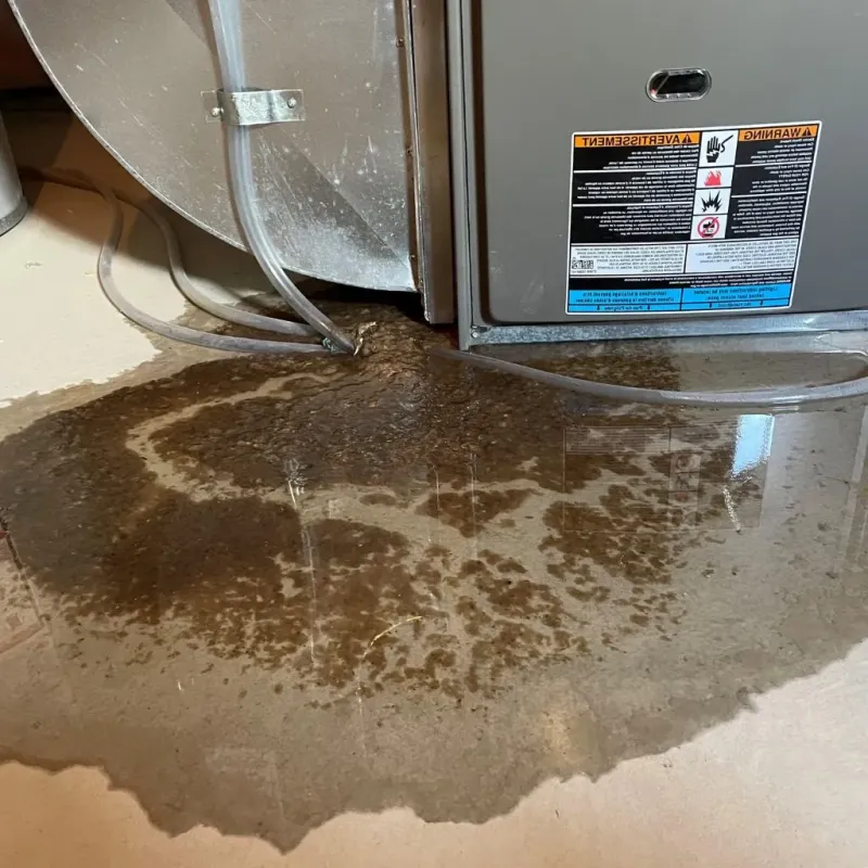 Pipe Burst and Leak Restoration in Laguna, CA